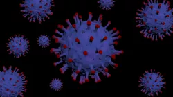 Virus 3D Model