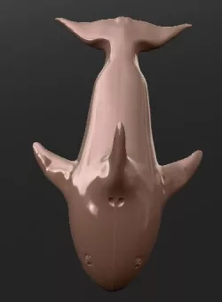 whale