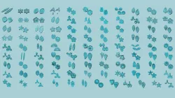 100 EVA Molding Flowers - Super Collection - Leaf Foam Craft