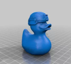 army duck