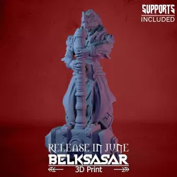 Baharoosh the Dragonborn Paladin 3D print model