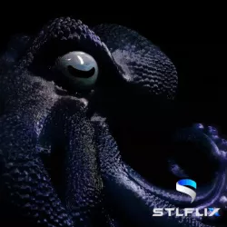 Bordeaux, The Octopus