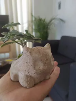 Bulbasaur Pot Mould
