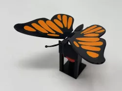 Butterfly Automaton