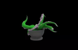 Cauldron of Chaos