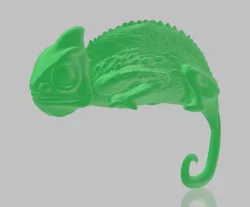 chameleon