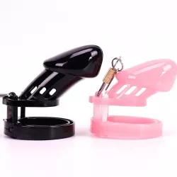 Chastity cage, chastity cage