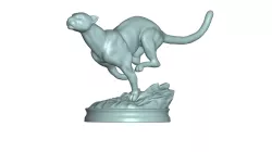 Cheetah