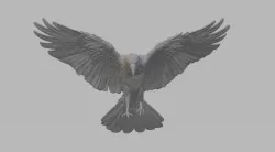 Crow 3D Print 3D model
