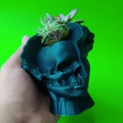 DEAD DAVID POT