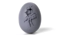 Dinosaur egg