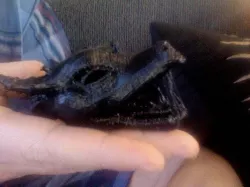Dragon Head