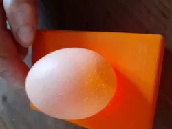 Egg visualizer