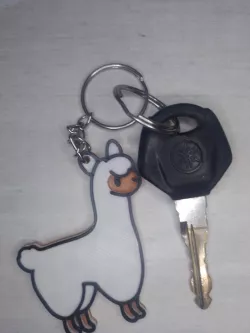 flame keychain