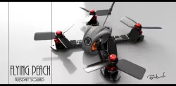 Flying Peach - Microswift Evolution