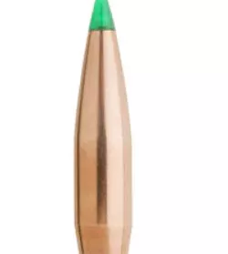 Full scale .308 Caliber Dummy Bullet/ model