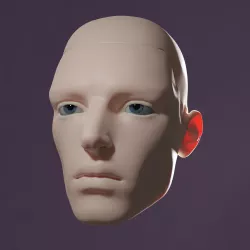 Griffiths Head