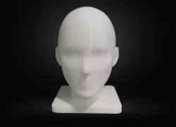 Head Human - Human Head Mannequin
