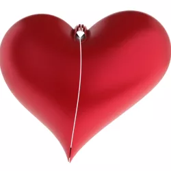 heart gift box