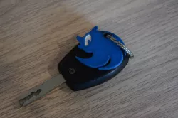 New Sonic Medallion