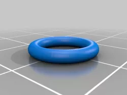O-Ring