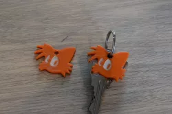 Old Tails Medallion