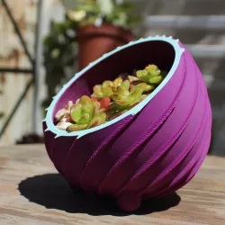 Planter- Candy model