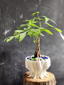 Polyleg Planter - Planter - Pot