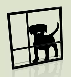 Puppy At Window