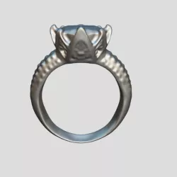 Ring（scanned by Revopoint MINI）