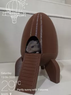 Rocket House for Pet