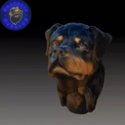 Rottweiler Head