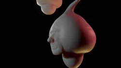 Sample Heads