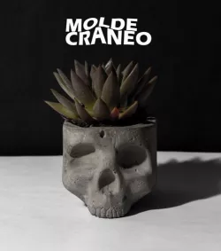 Skull Mold x Concrete Pot