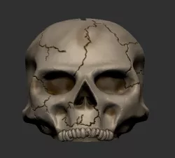 Skull money box