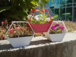 Stackable Planter Box (Hexa Planter)