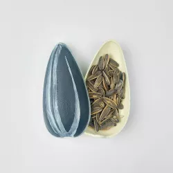 Sunflower Seed Bowl