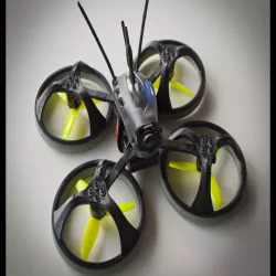 The Pushy Hawk (Emax Babyhawk r Evolution)