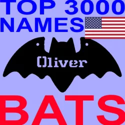 US Names Halloween Bat Decoration Necklace