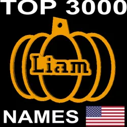 US PERSONALIZED PUMPKIN DECORATION FOR TOP 3000 USA FIRST NAMES