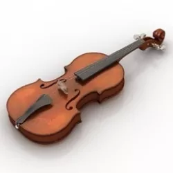 Violin
