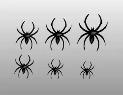 Web Spider