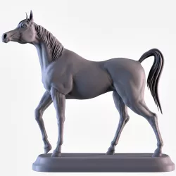 Arabian Horse