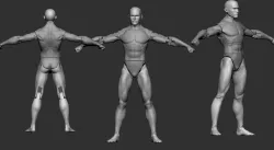 articulated body articulated body