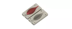 Bellows Gill Mold