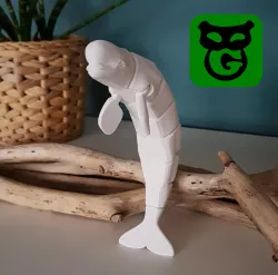 Beluga Flexi