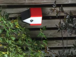 bird house