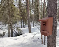 Bird nestingbox