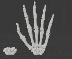 free 3d anatomy models | Page 1 | STLFinder