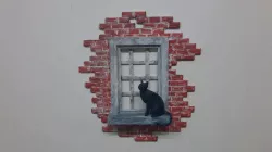 Cat in the window
